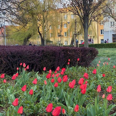 Appartamento Mona Wrzeszcz Danzica Esterno foto